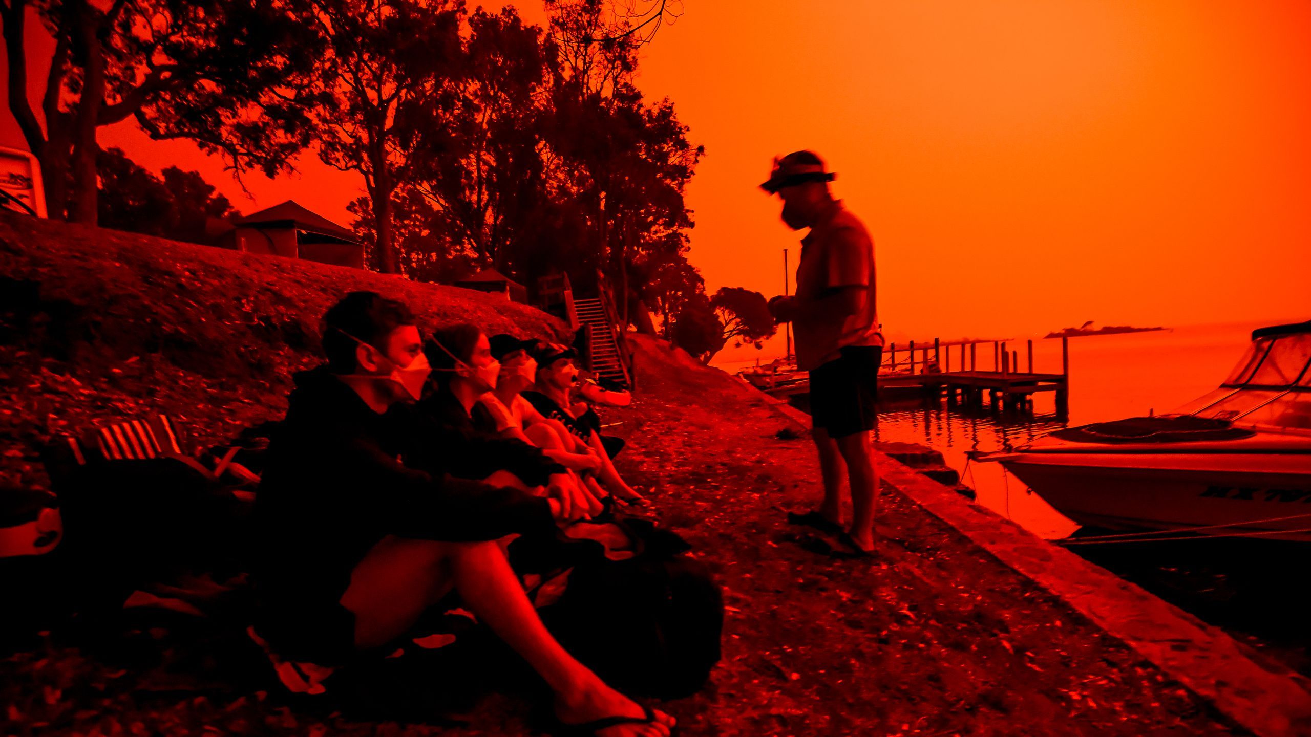 2560x1440 How to Help People and Animals Affected By the Australia Bushfires