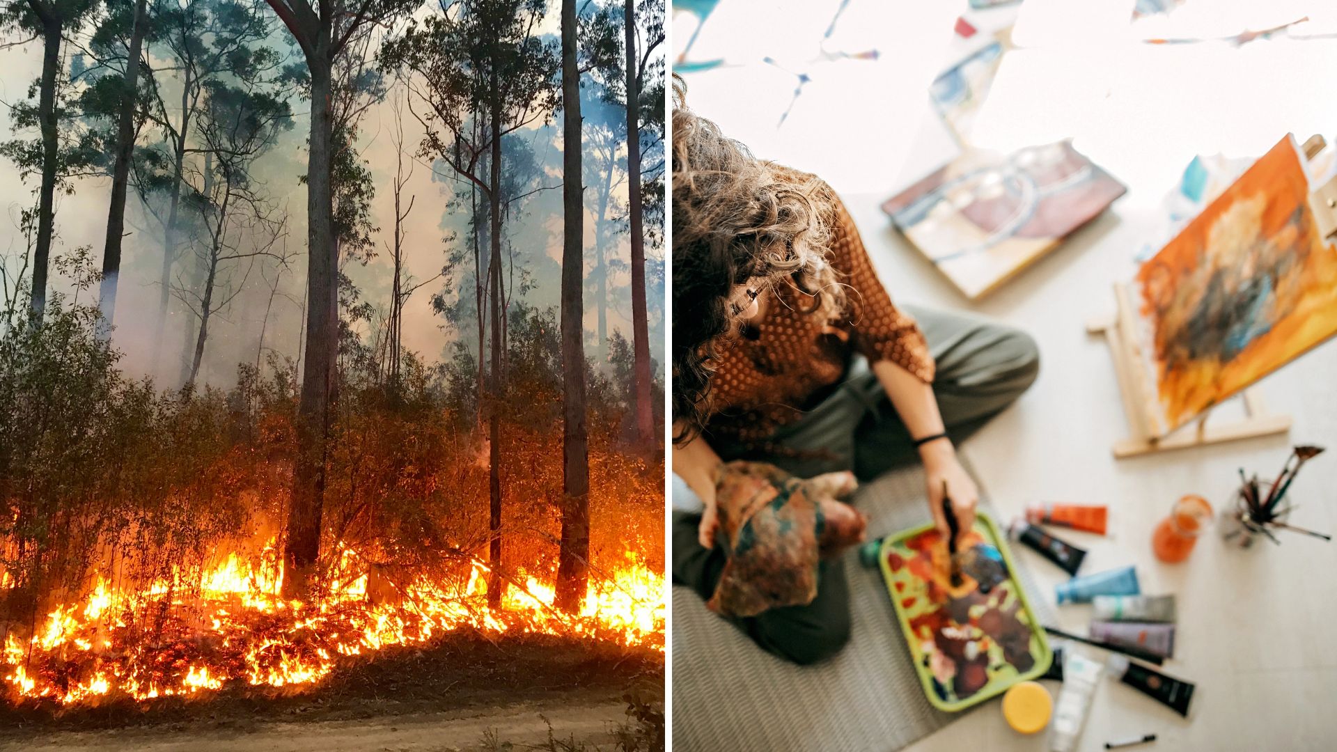 1920x1080 Snowy Valleys' bushfire experience reflected in young people's art exhibition in Tumut