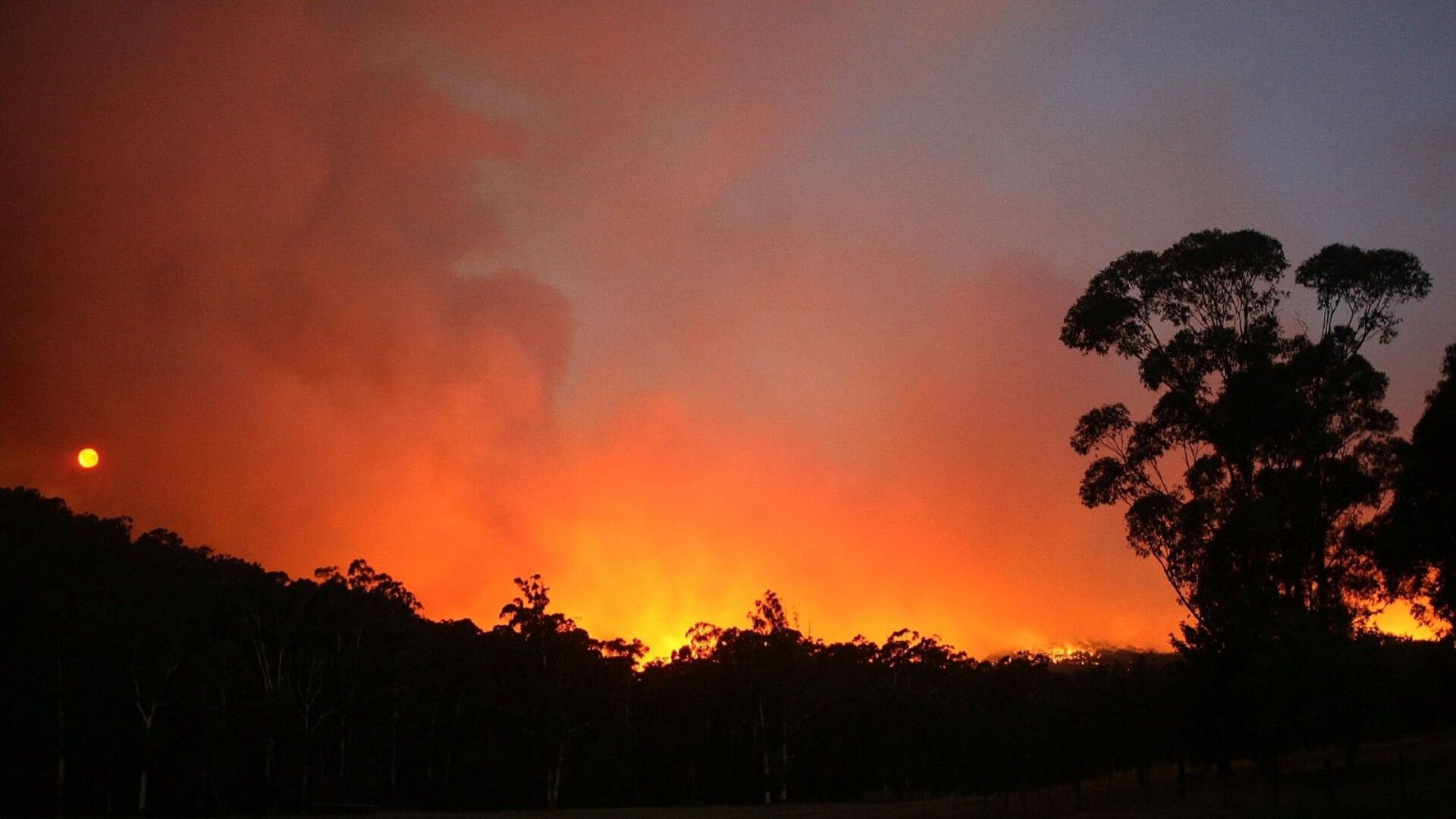 1920x1080 Overlapping fire seasons pose risk to Australia’s bushfire readiness