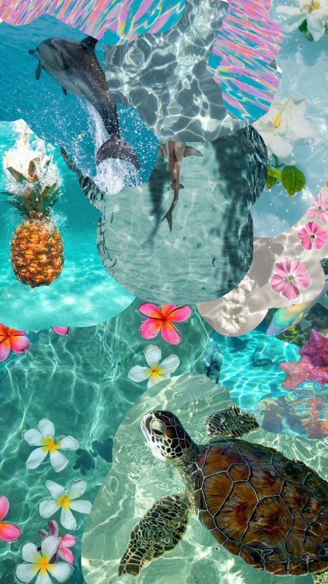 675x1200 Summer wallpaper