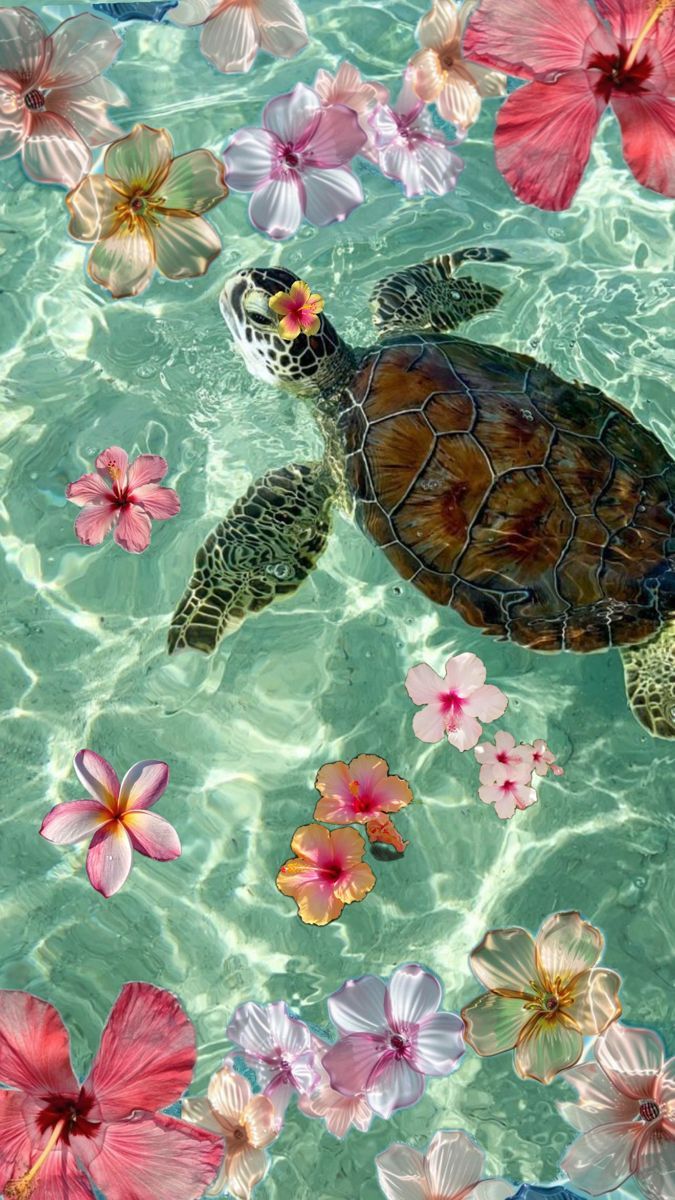 675x1200 Astigmatism in Animals. Sea turtle with flowers, Tropical flower and turtles, Turtle background