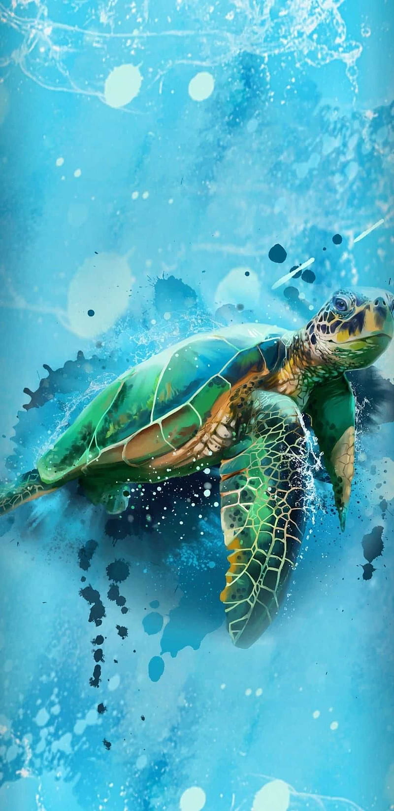 800x1644 HD cute sea turtle wallpaper