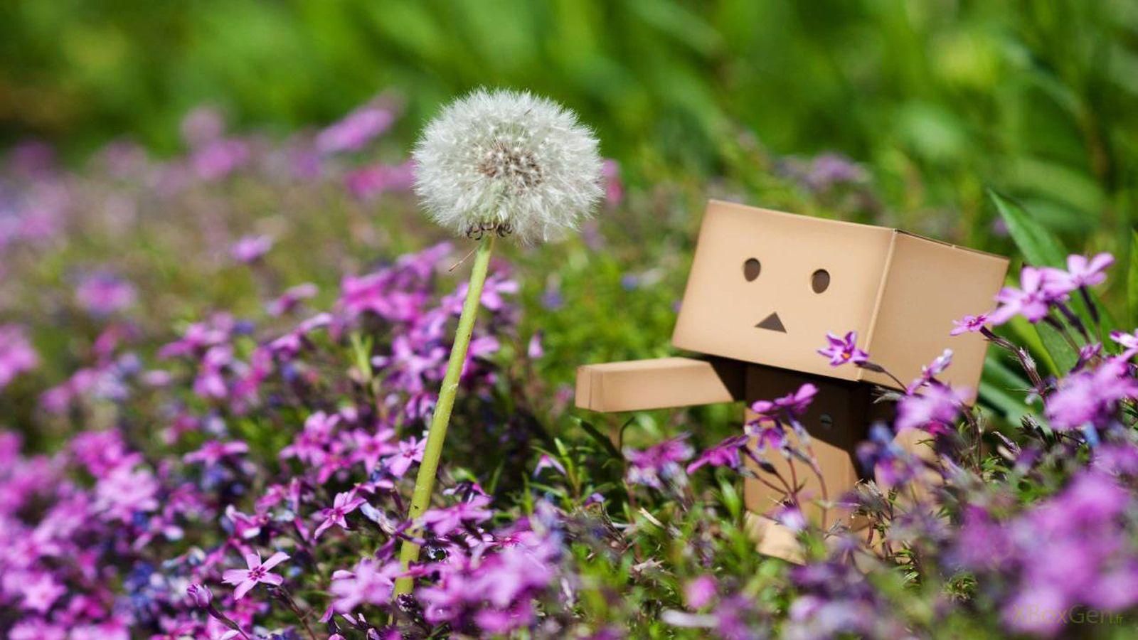 1600x900 Cute Boxman Wallpaper 1600x900 px