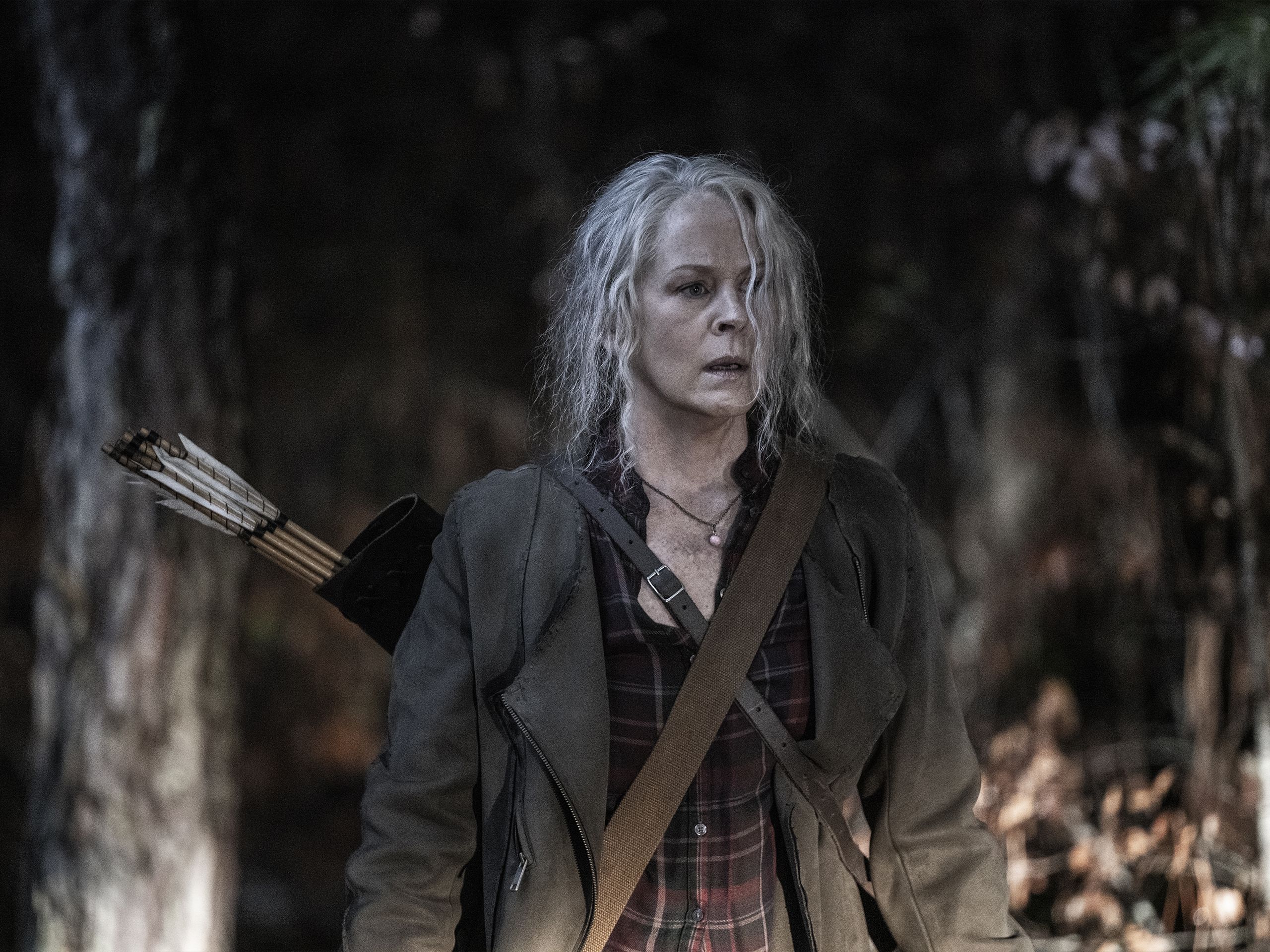 2560x1920 Watch The Walking Dead: Best of Carol, Season 1