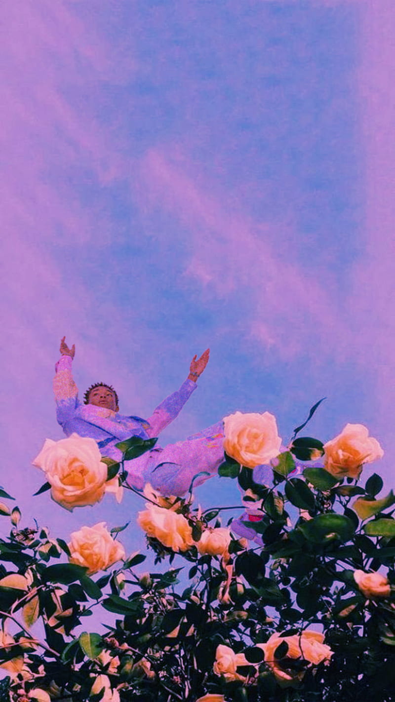 800x1422 Jaden, flowers, jaden smith, nature, new balance, pink, sky, smith, theme, vision, HD phone wallpaper