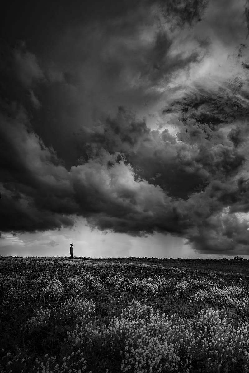 800x1199 Loneliness, alone, sad, bw, vast, HD phone wallpaper