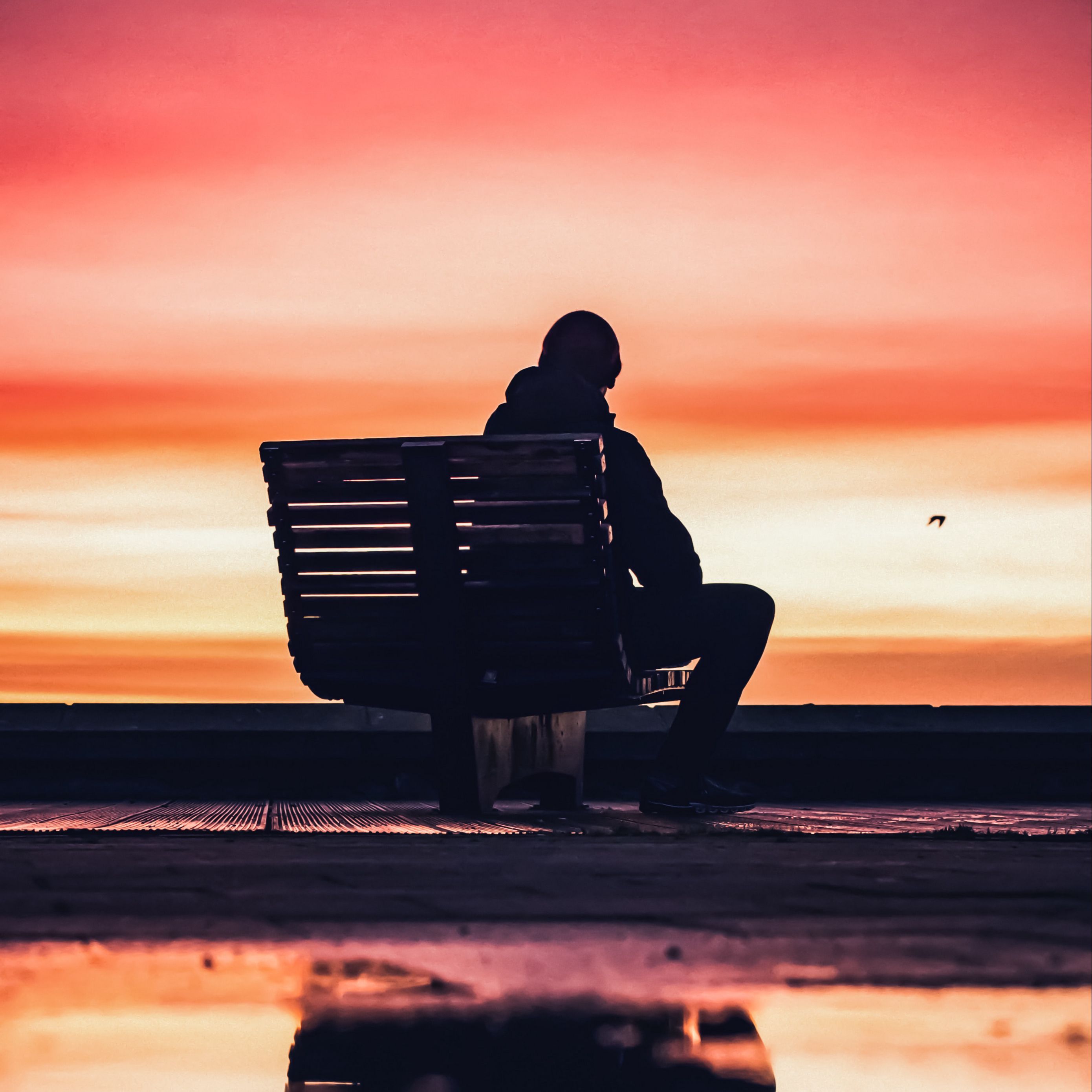 2780x2780 Download wallpaper 2780x2780 man, alone, sad, twilight, dark ipad air, ipad air ipad ipad ipad mini ipad mini ipad mini ipad pro 9.7 for parallax HD background