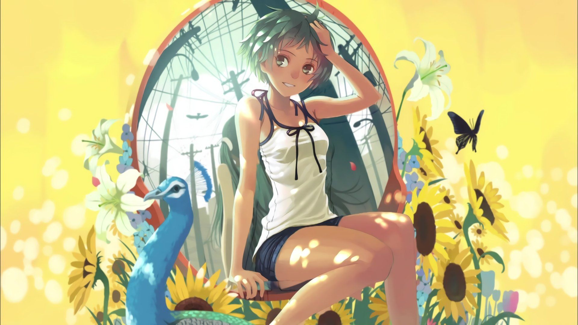1920x1080 Monogatari Series HD Anime Wallpaper: Sunlit Blooms & Timeless Moments