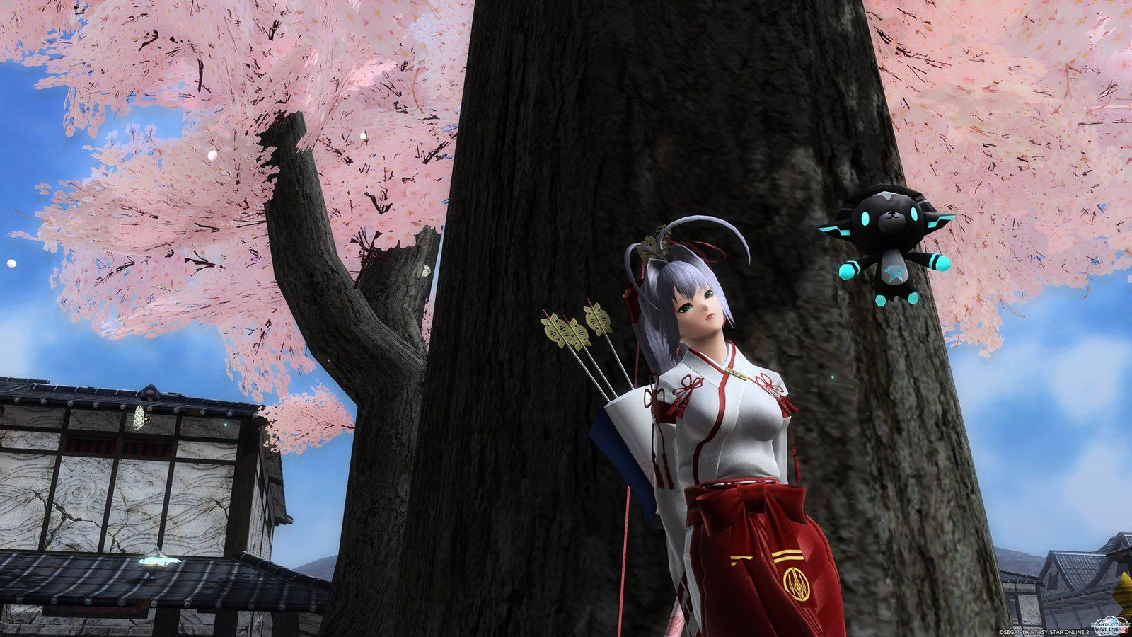 1600x900 pso20150323_084813_008