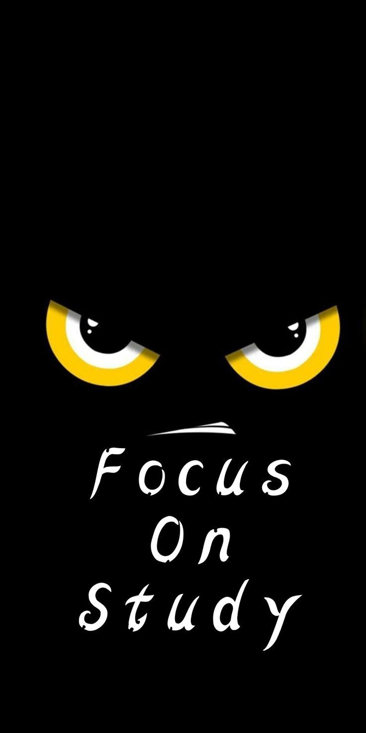 736x1472 Focus on study