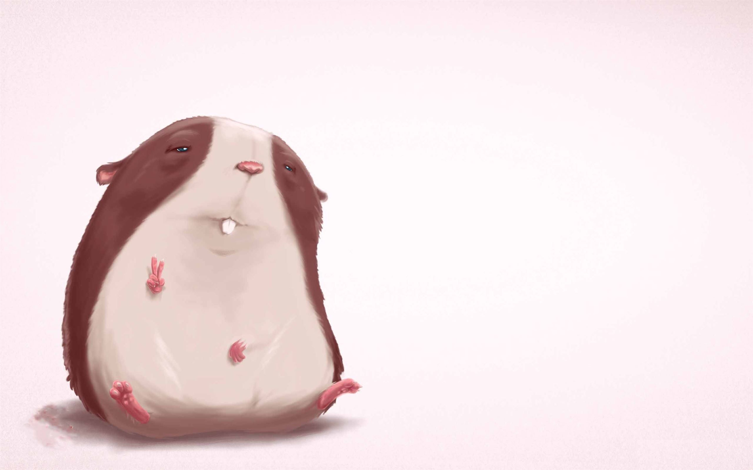 2560x1600 Funny Hamster MacBook Air Wallpaper Download