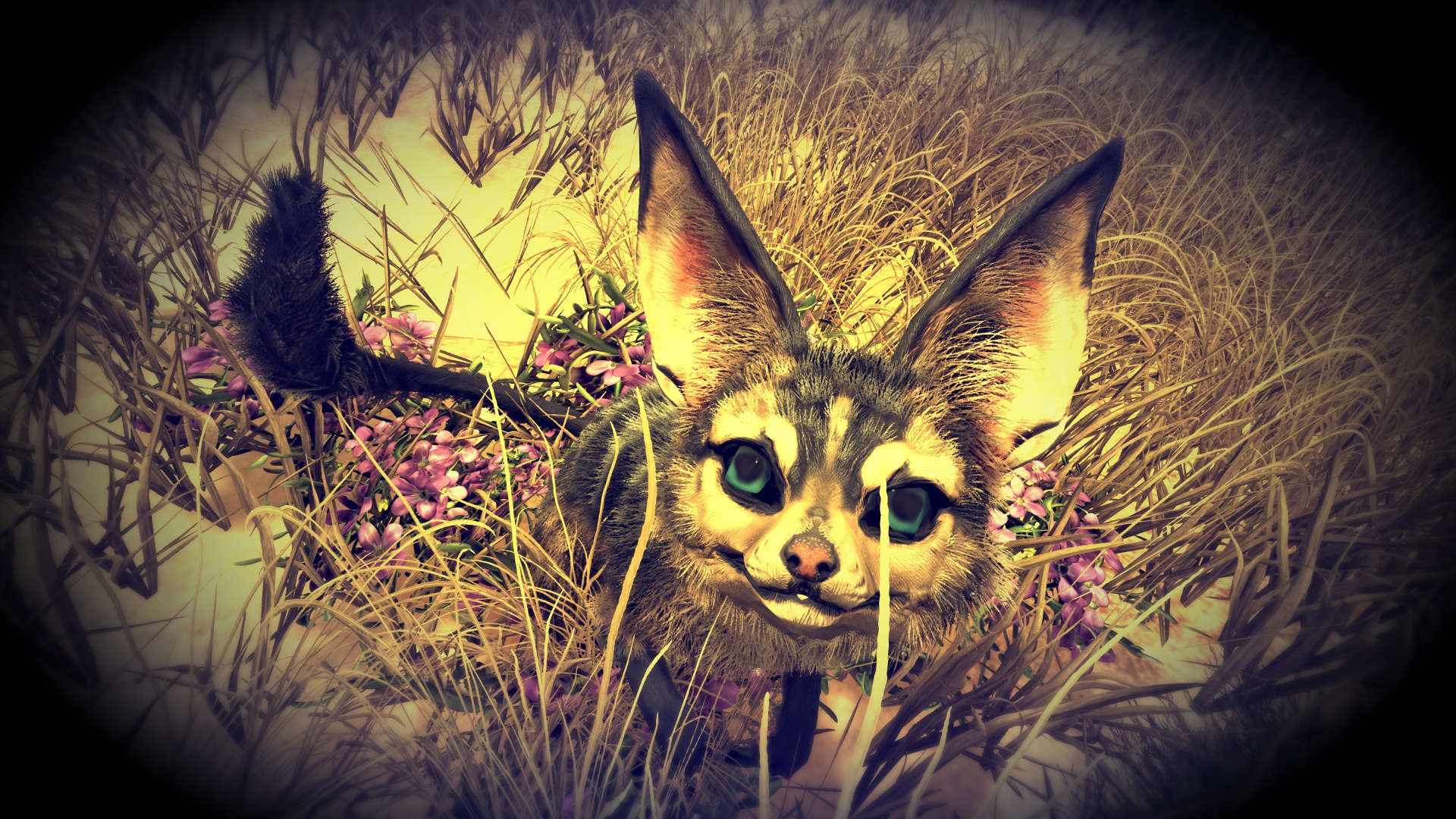 1920x1080 Jerboa Wallpaper