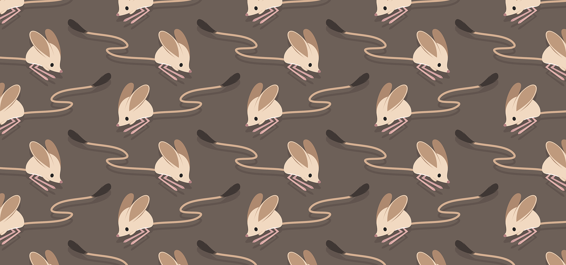 1920x900 Jerboa Wallpaper