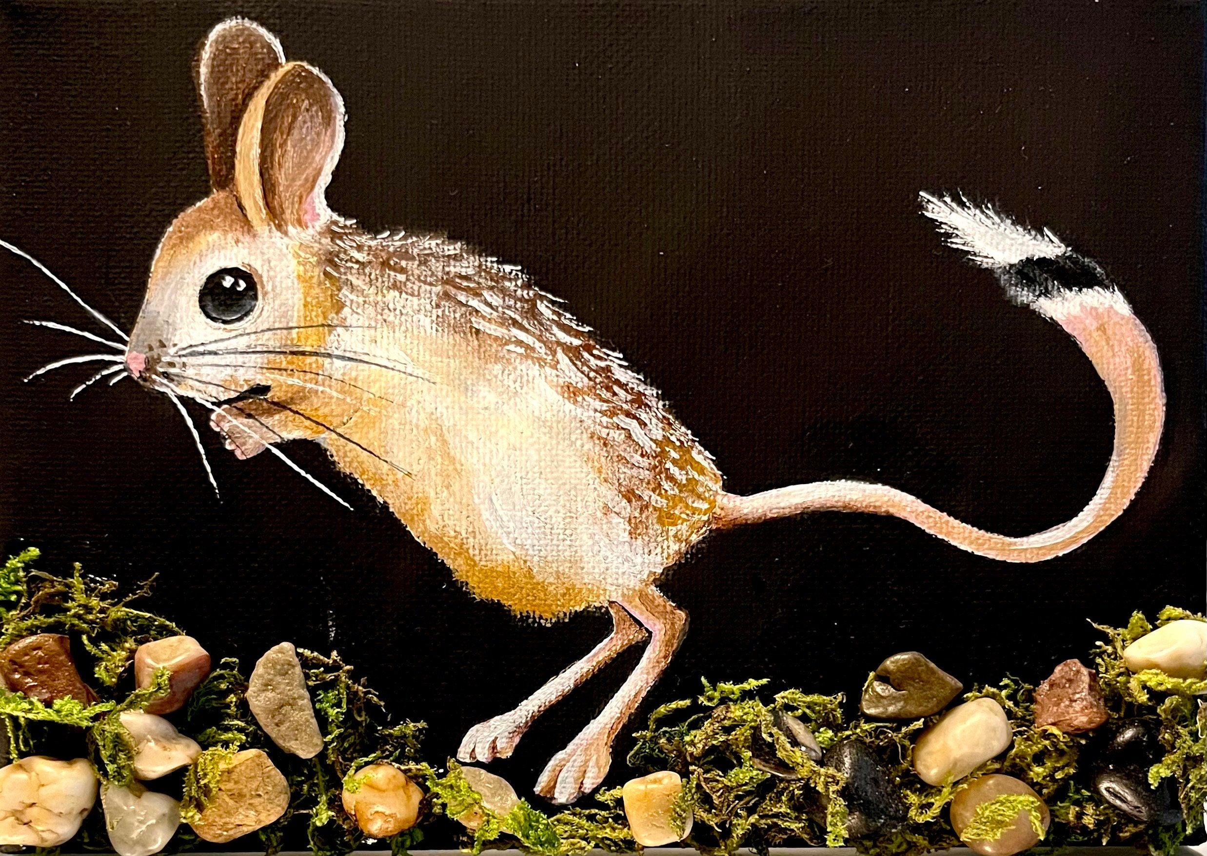 2475x1756 Jerboa “Jumping Mice”