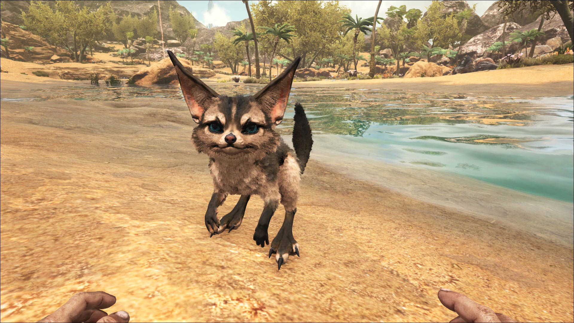 1920x1080 Jerboa Albums Community Forums