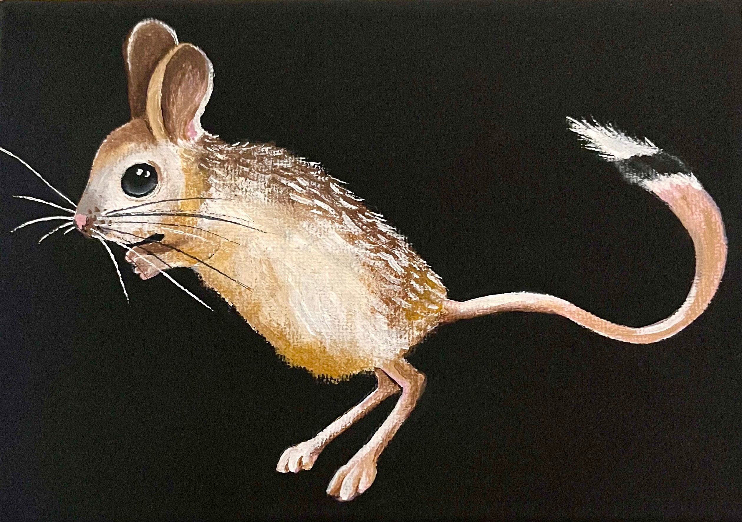 2520x1774 Jerboa “Jumping Mice”