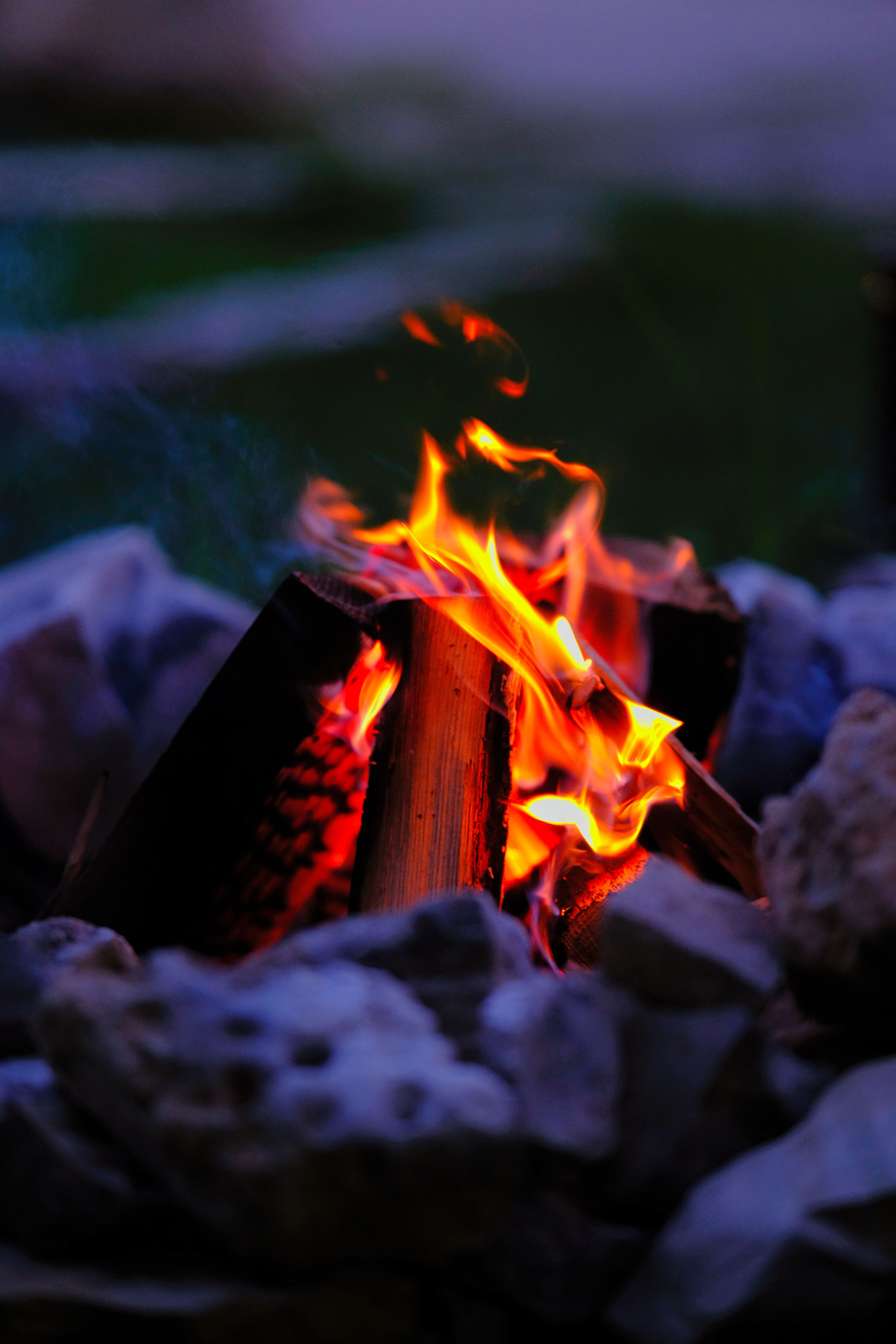 4160x6240 Bonfire Fire at Night · Free