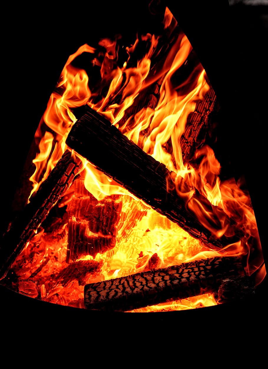 910x1254 HD wallpaper: fire, flame, burn, burning, winter, cold, warm, wood, survive