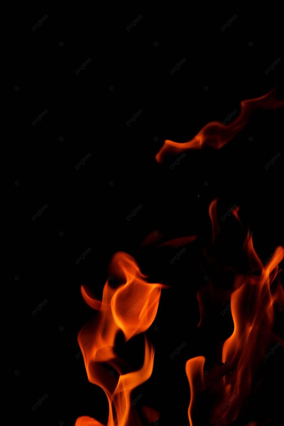 960x1438 Fire Flame On Black Background Campfire Warm Effect Photo Wallpaper Image For Free Download