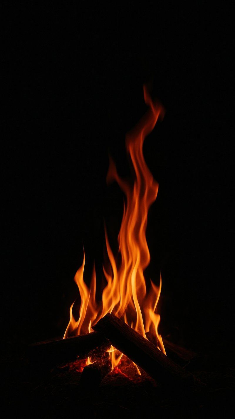 800x1422 Warm glowing campfire in darkness