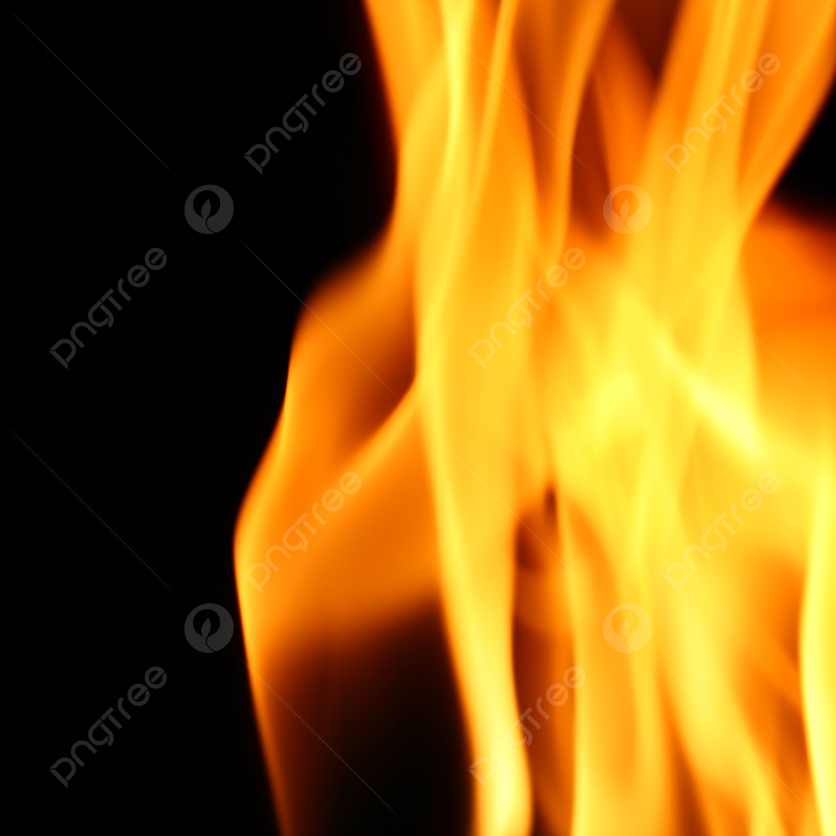 1200x1200 Fire Wallpaper Warm Gas Behavior Photo Background And Picture For Free Download