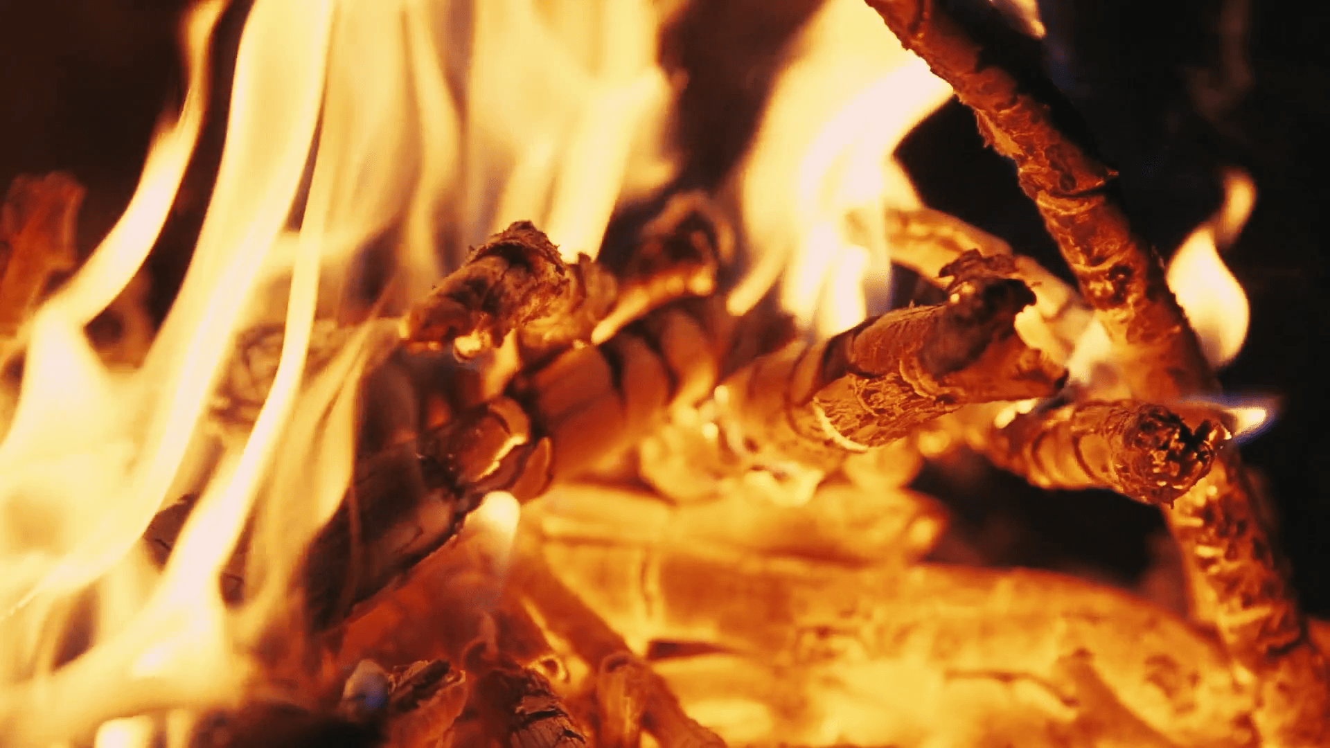 1920x1080 Camping Fire: Warm and Bright Flames