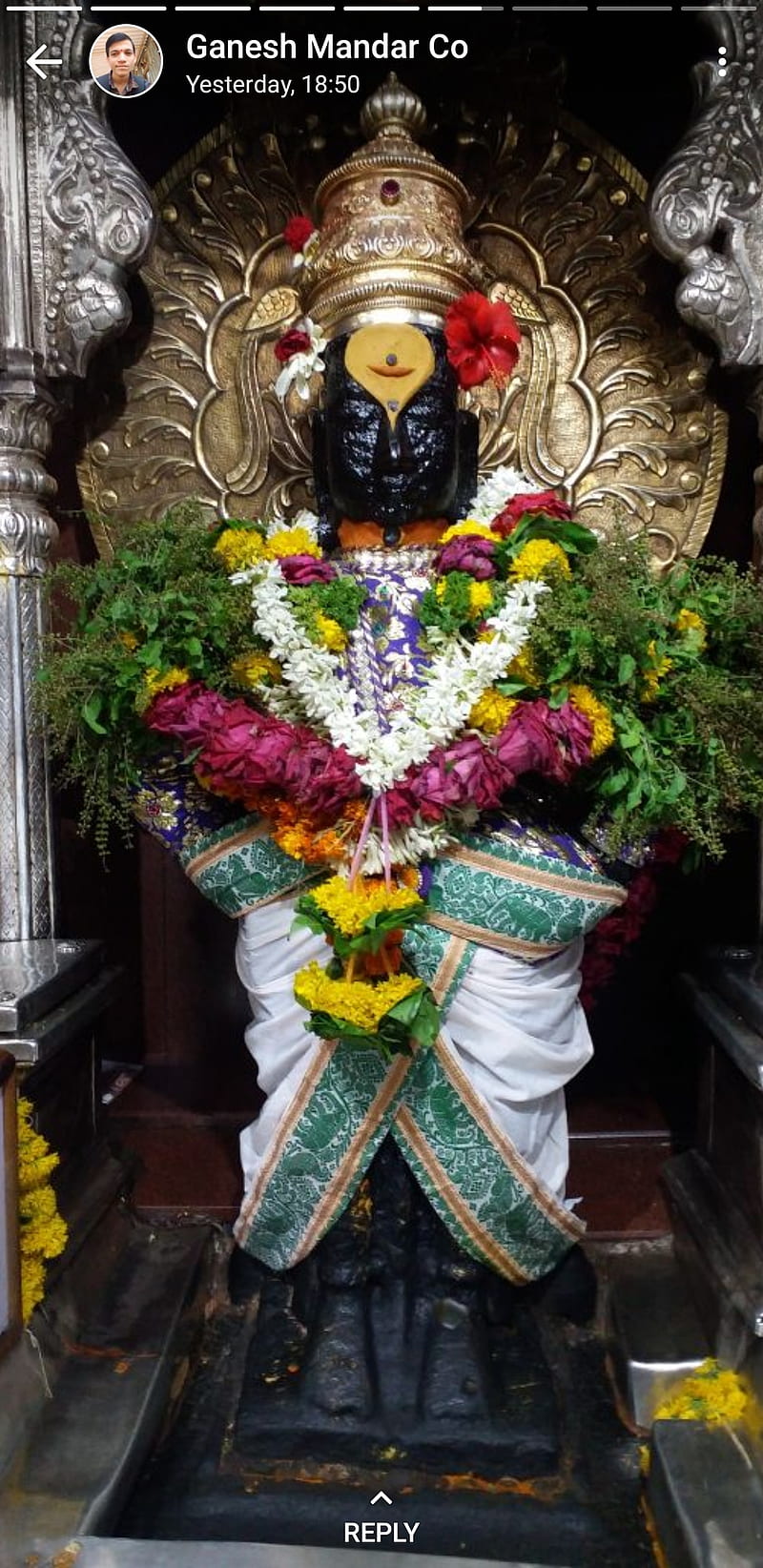 800x1644 God vithal, god animation, sm, HD phone wallpaper