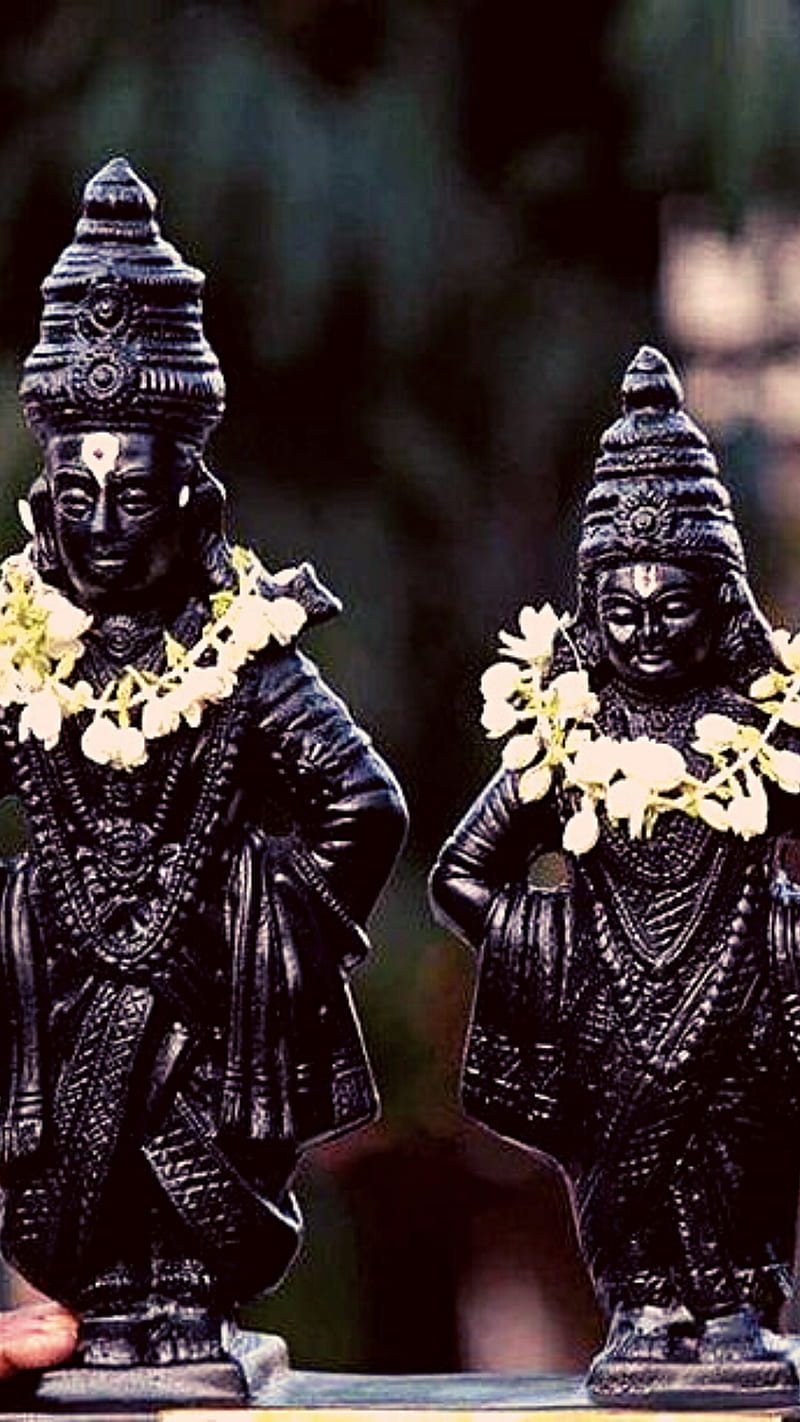 800x1422 Vitthal, vithal, god, vithu, vittal, HD phone wallpaper