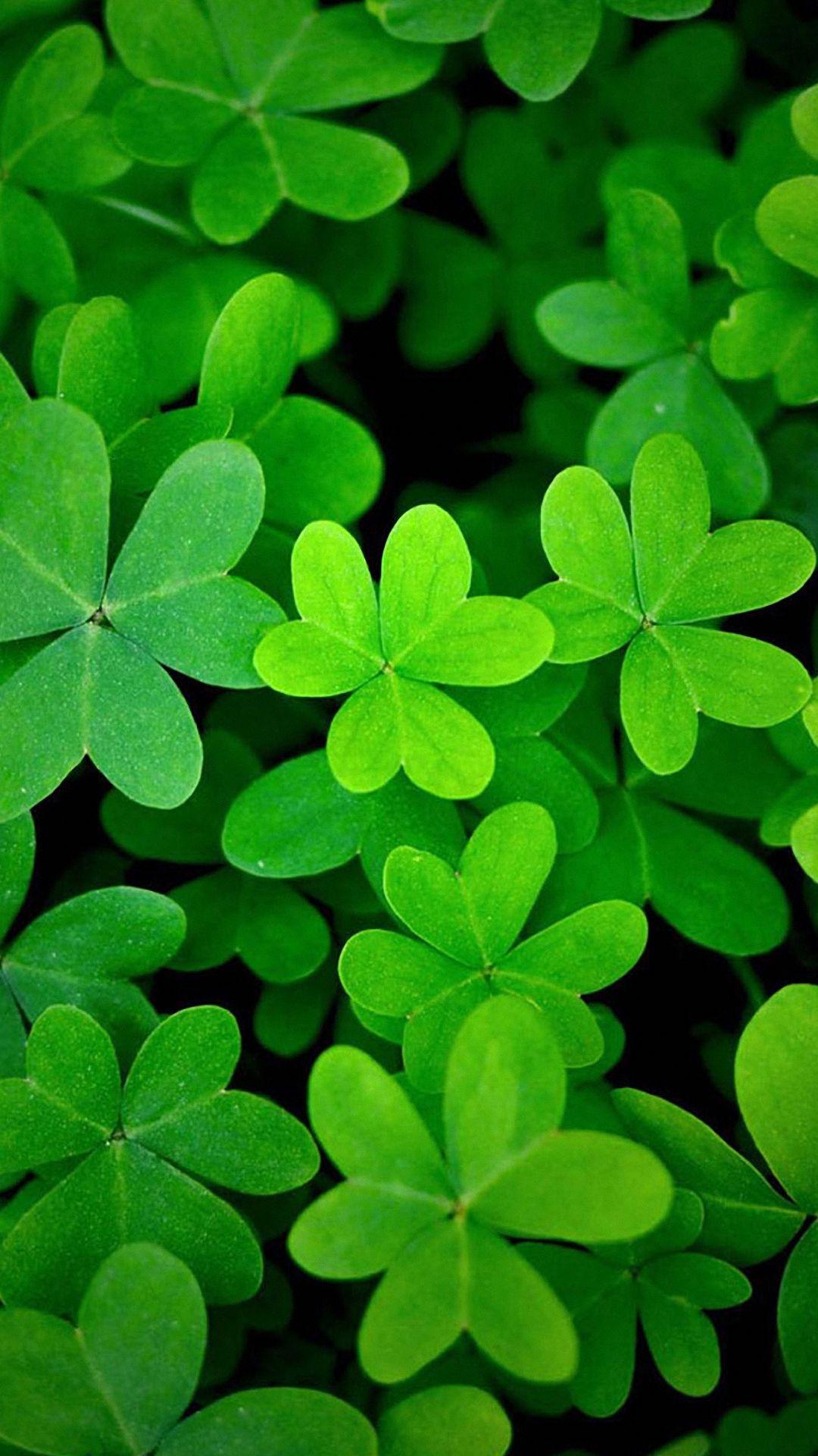 1080x1920 Hd Cute Leaves Samsung Galaxy Note 3 Wallpaper