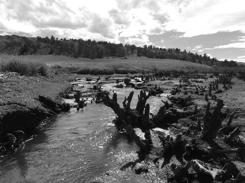 1024x768 Watching the river run. Woodhouse preserve outside of Cheye