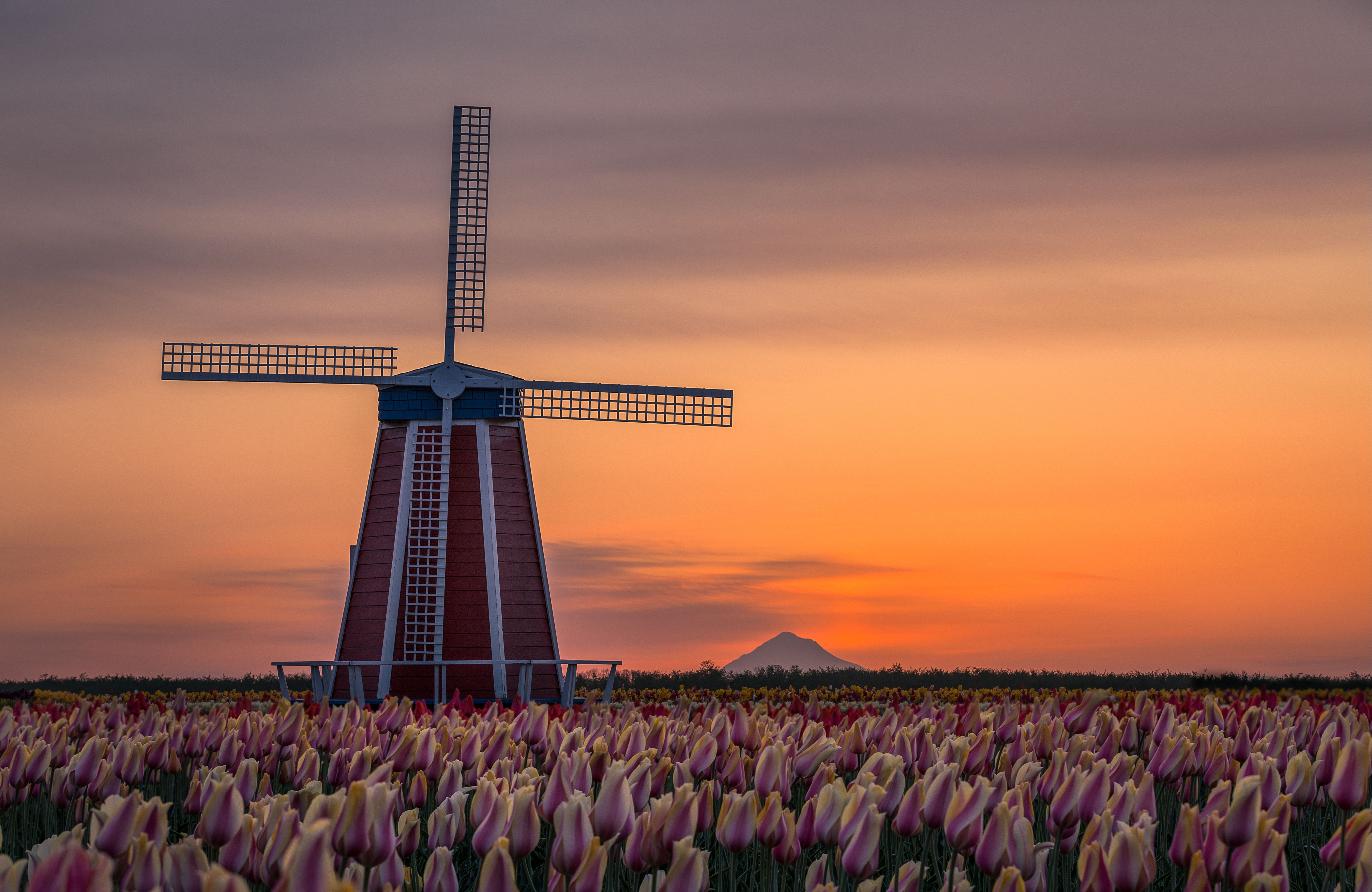 6951x4521 4K Ultra HD Windmill at Sunset