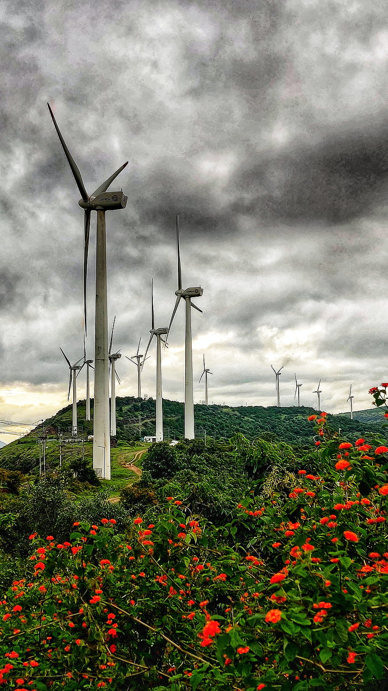 800x1423 Wind Turbine, cross, flower, garden, mountain, nature, windmills, HD phone wallpaper