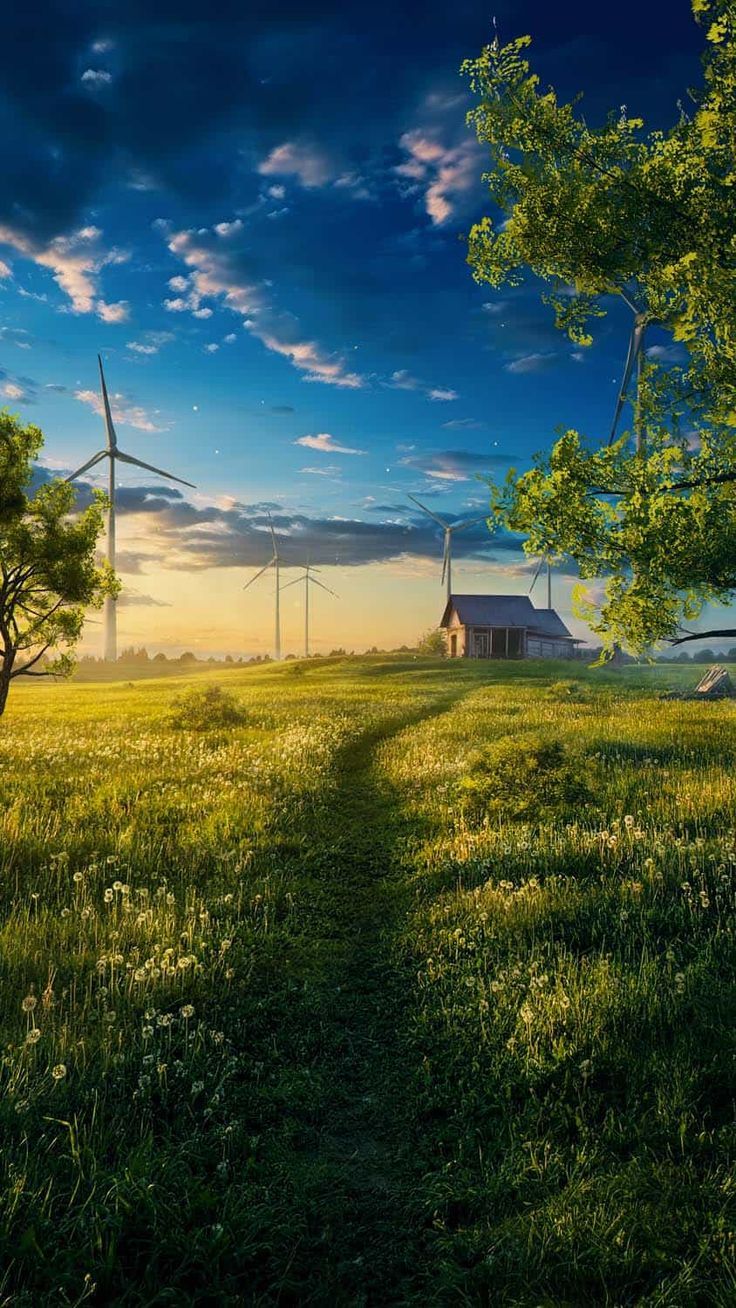 736x1308 Windmills Farm iPhone Wallpaper 4K