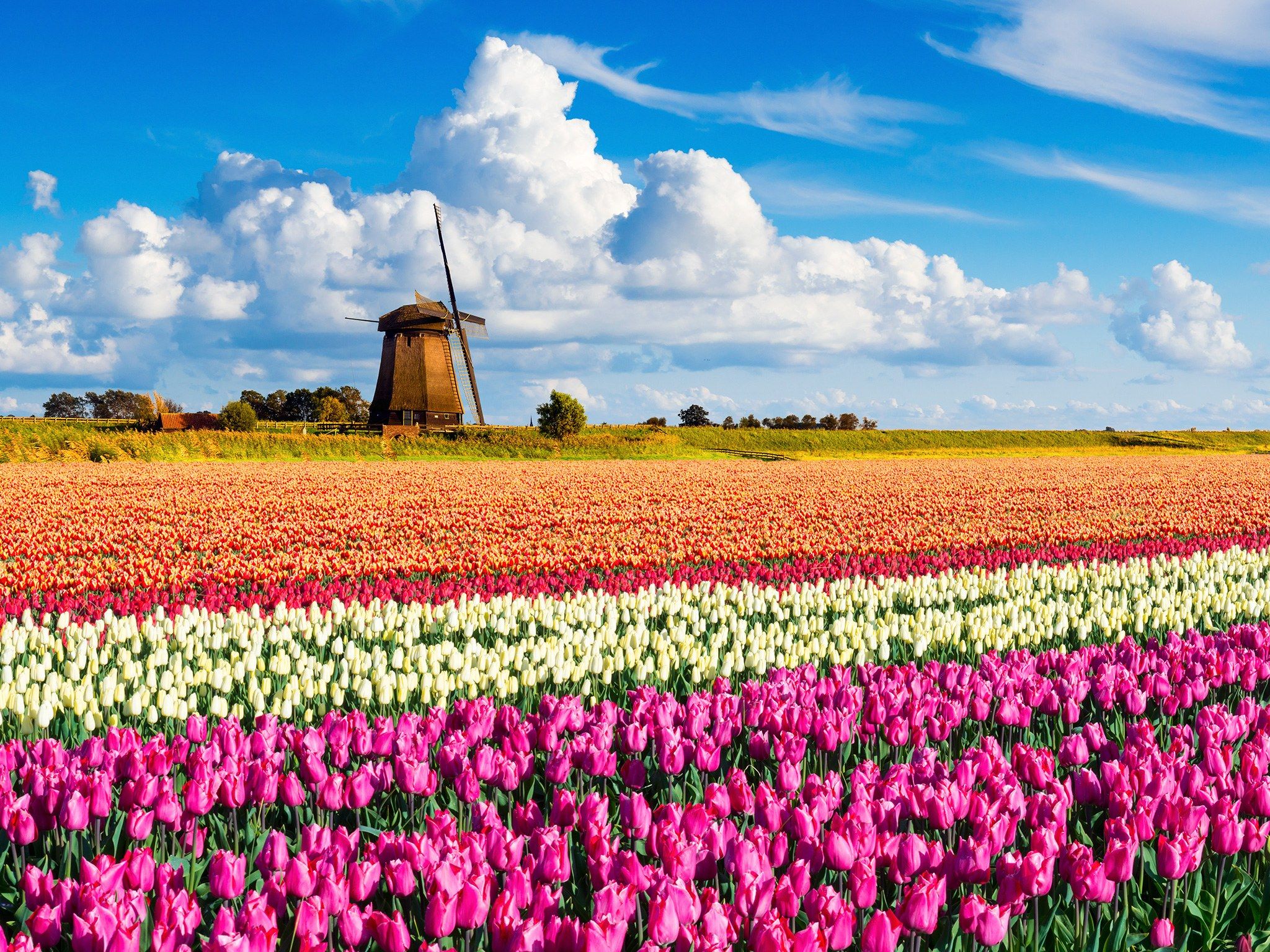 2048x1536 Desktop wallpaper: Man Made, Windmill 4K free download for PC. 753522
