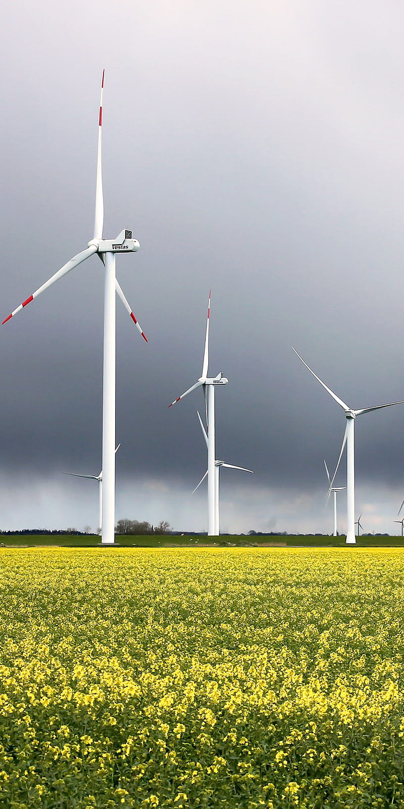 800x1600 Wind turbine, landscape, nature, turbine, wind, HD phone wallpaper