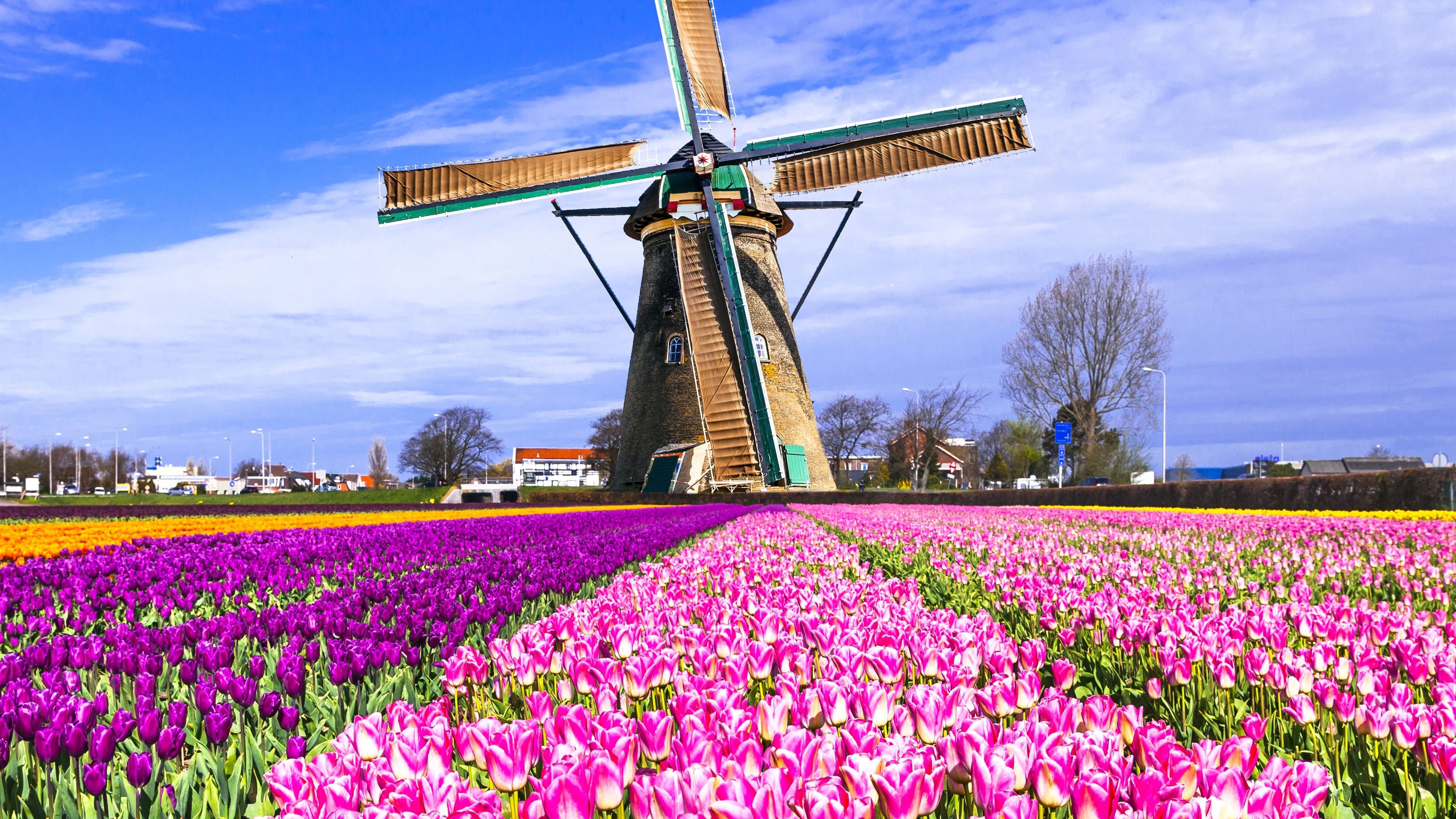 3840x2160 Windmill Netherlands Wallpaper