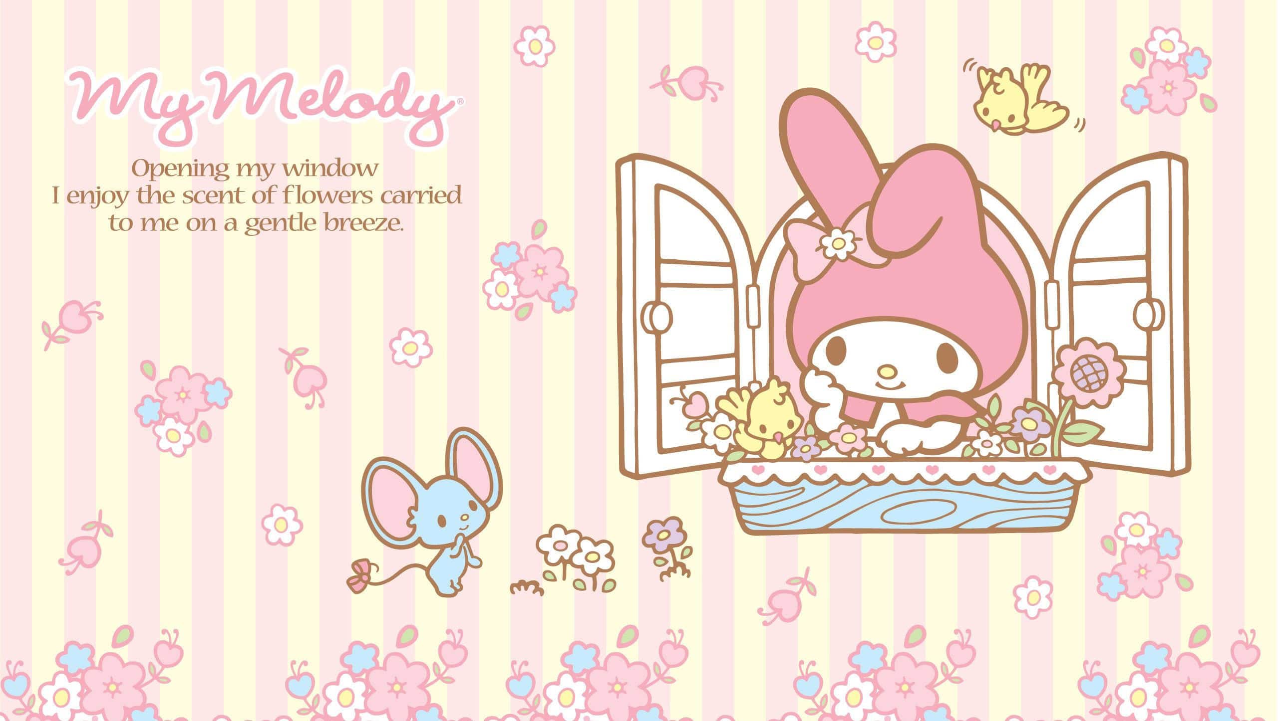 2560x1446 My Melody HD Wallpaper