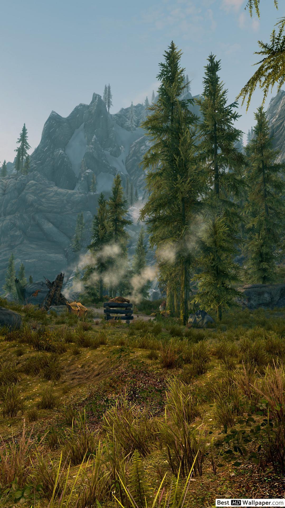 1080x1920 The Elder Scrolls V: Skyrim HD wallpaper download