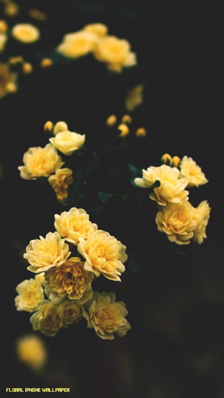 713x1268 Things To Expect When Attending Floral iPhone Wallpaper. Floral iPhone Wallpaper