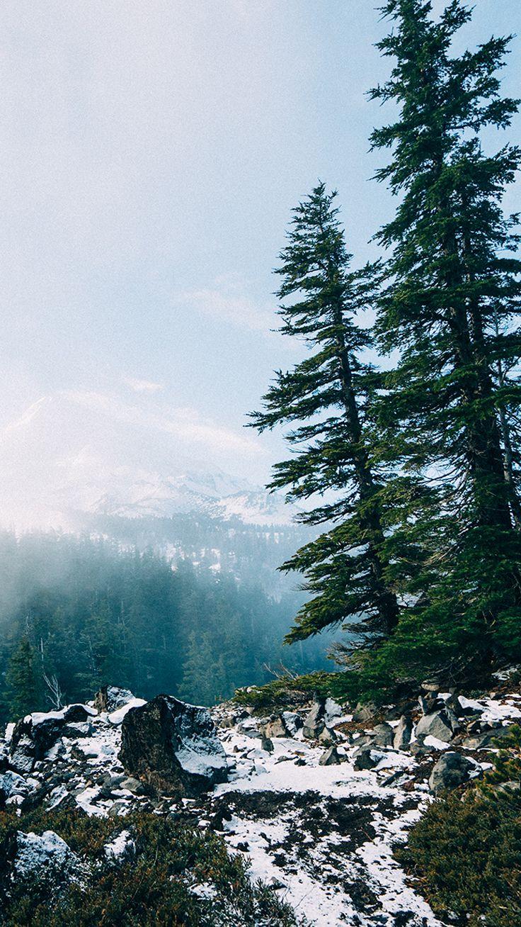 736x1308 Beautiful Back to Nature iPhone Wallpaper
