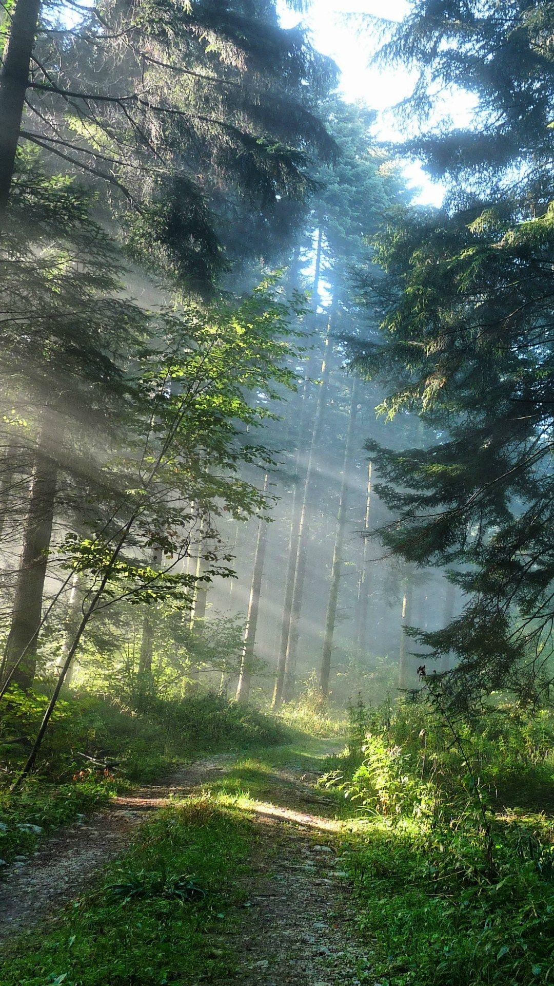 iPhone Nature Wallpapers - Top Free iPhone Nature Backgrounds