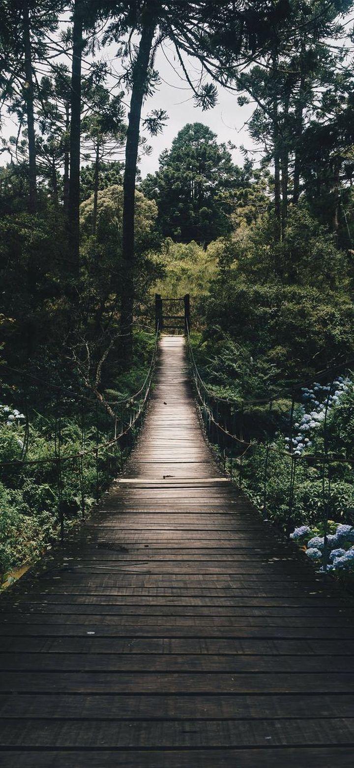 720x1559 HD Wallpaper For iPhone Xr