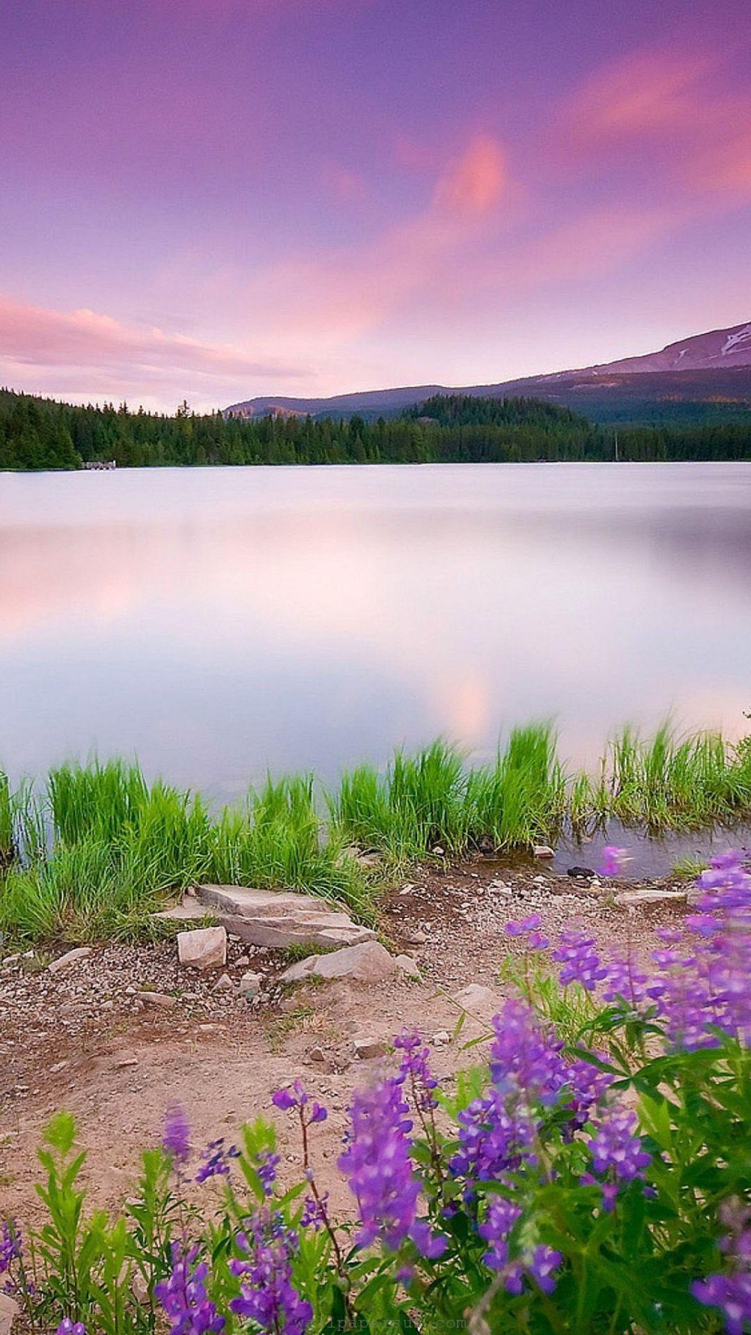 1080x1920 Peaceful Nature iPhone Wallpaper