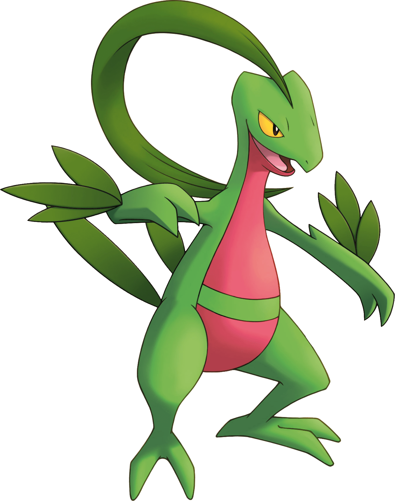 1357x1720 Grovyle (Mystery Dungeon). Pokémon