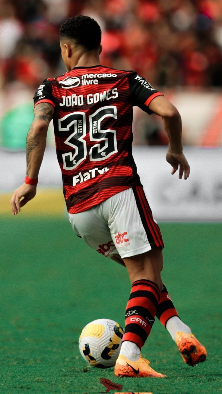 736x1308 João Gomes Wallpaper