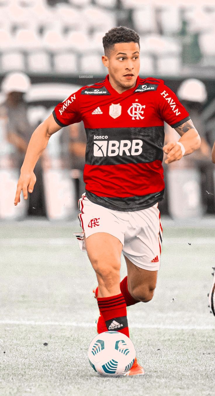 736x1356 João Gomes Wallpaper