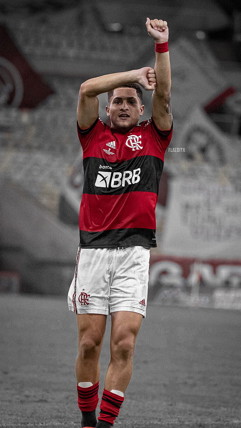 800x1422 Flamengo, joao gomes, HD phone wallpaper