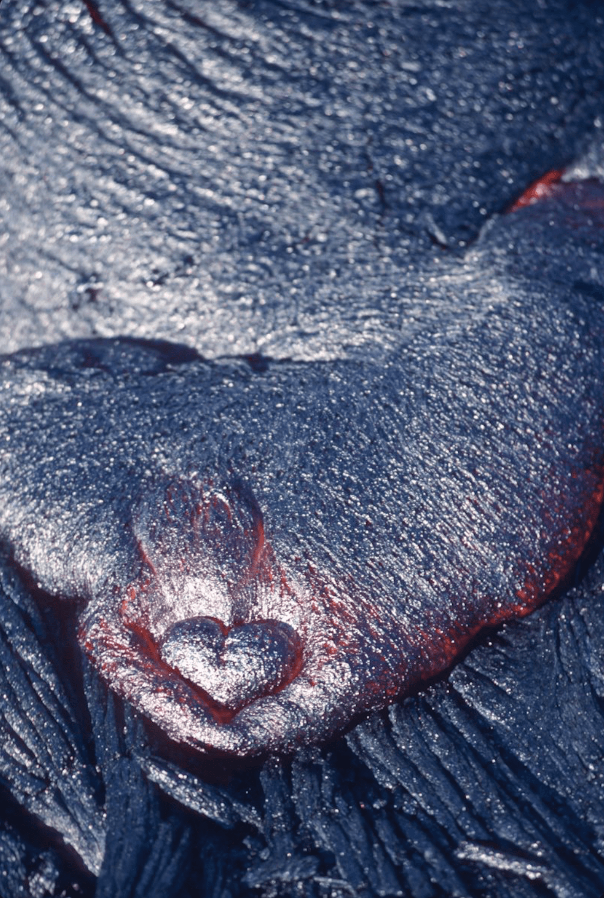 1178x1752 I Lava You, photograph by G. Brad Lewis Art Center