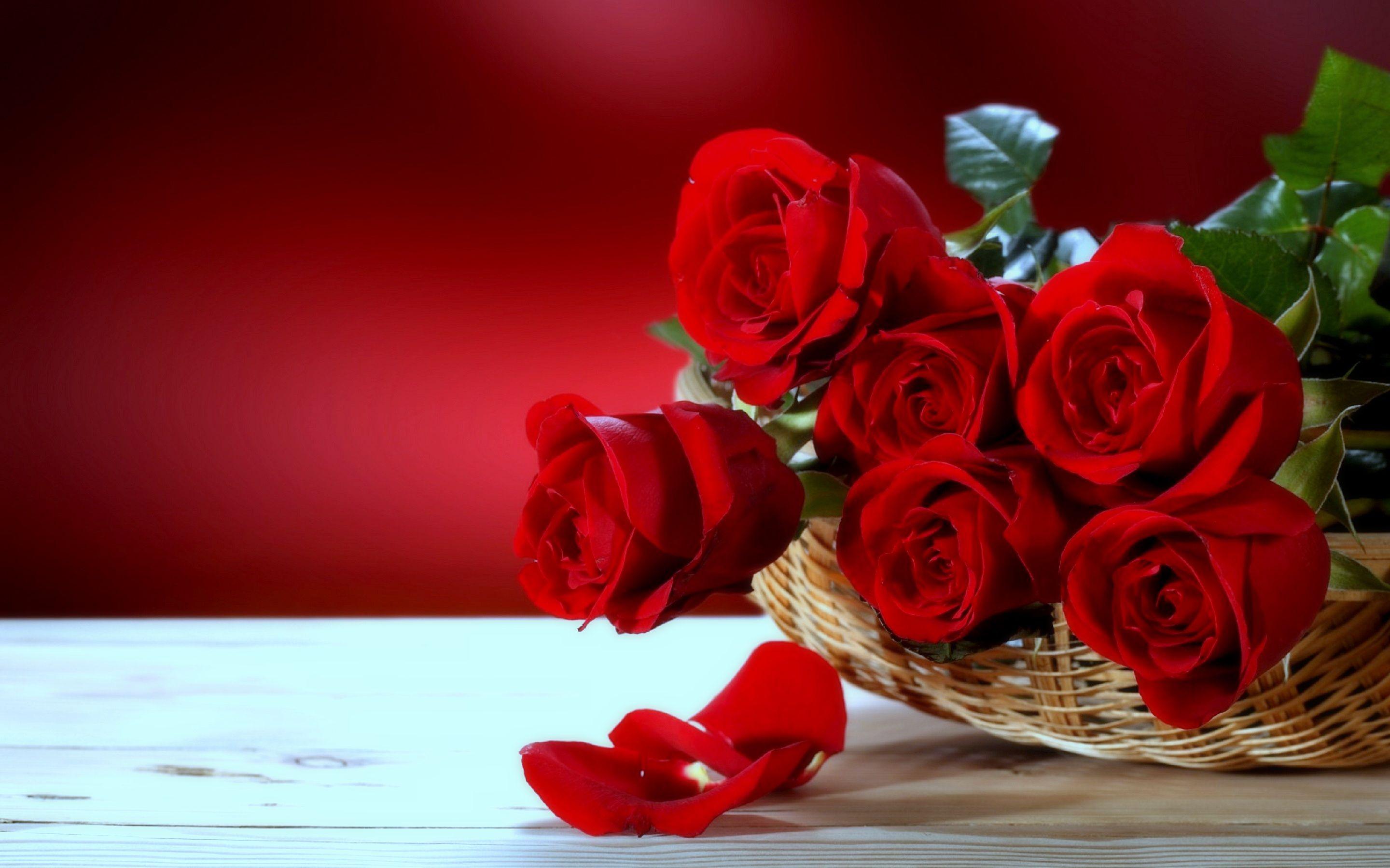2880x1800 Red Roses Desktop Flowers Wallpaper Beautiful Love Flowers