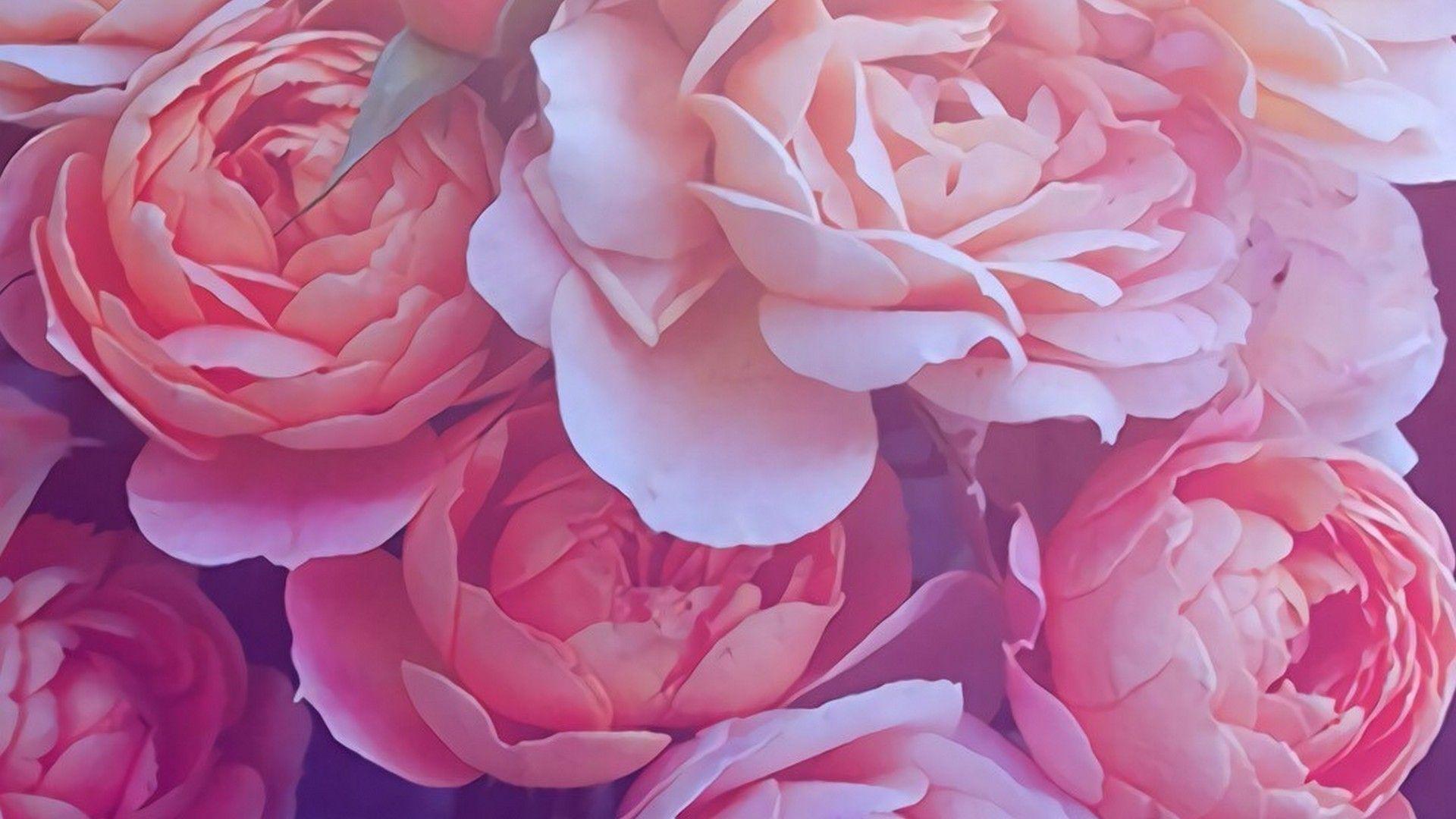 1920x1080 Gold Rose Desktop Background Live Wallpaper HD
